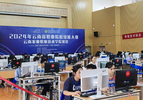 软件英才聚云农职，系统开发展技能风采——全省26所高职院校应用软件系统开发竞赛侧记